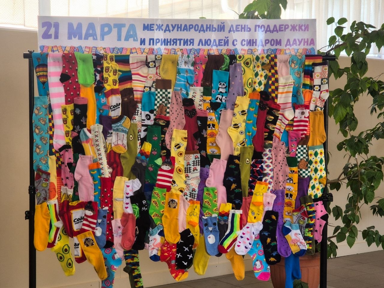 Мы разные — мы равные: акция ко Дню поддержки людей с синдромом Дауна